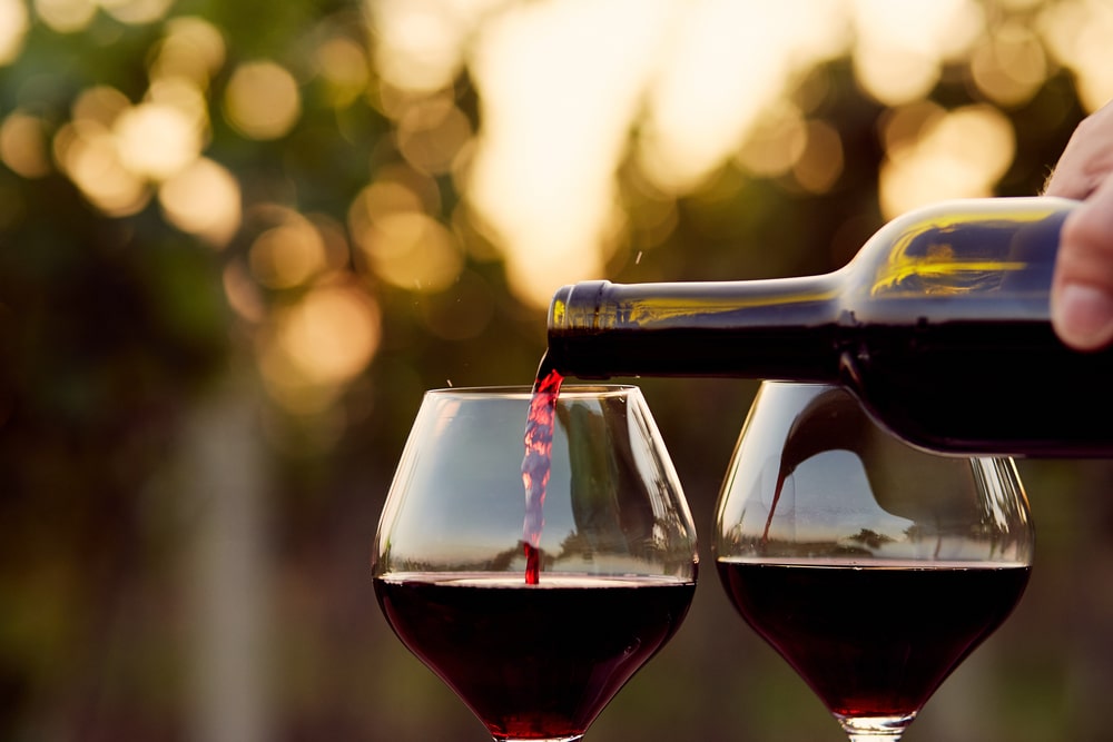 Red Wines For Beginners